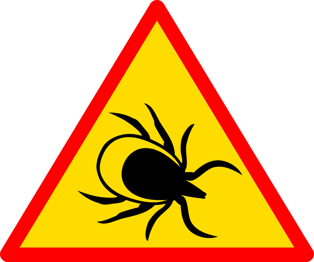 tick danger