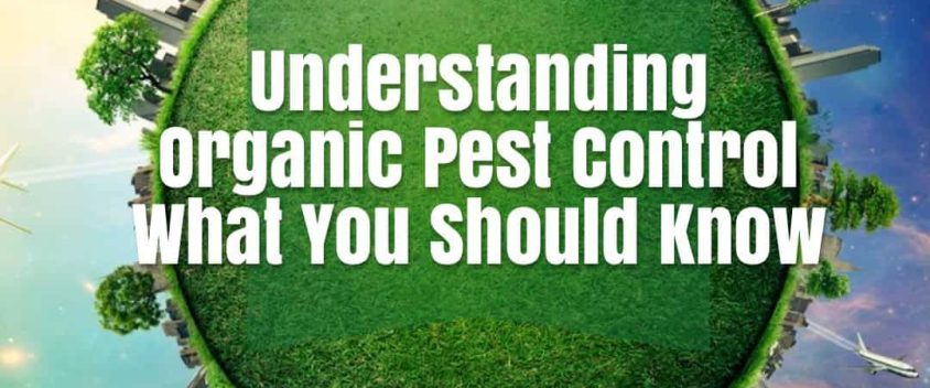 organic pest control