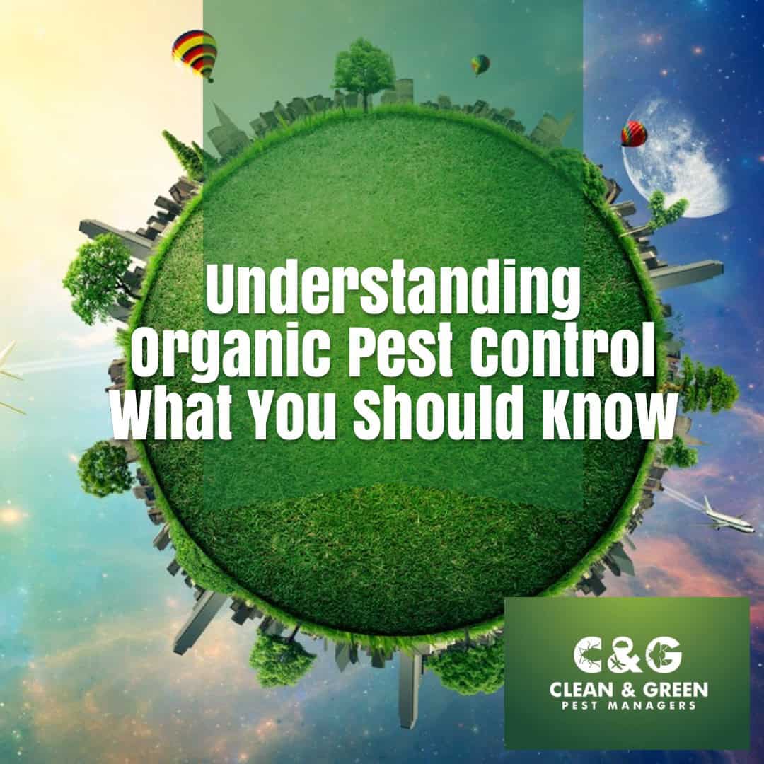organic pest control