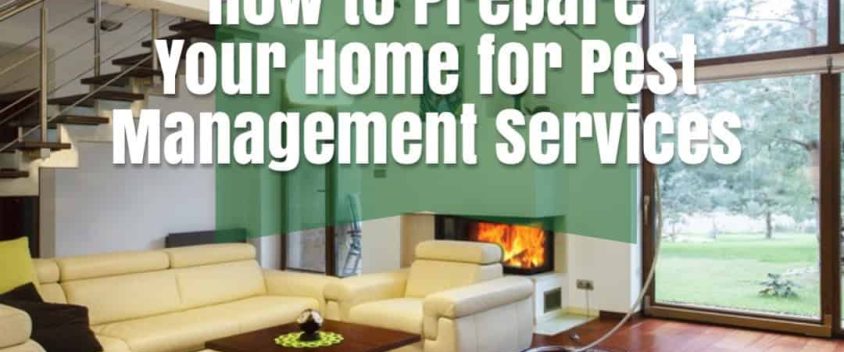 How to Prepare Your Home for Pest Management Services