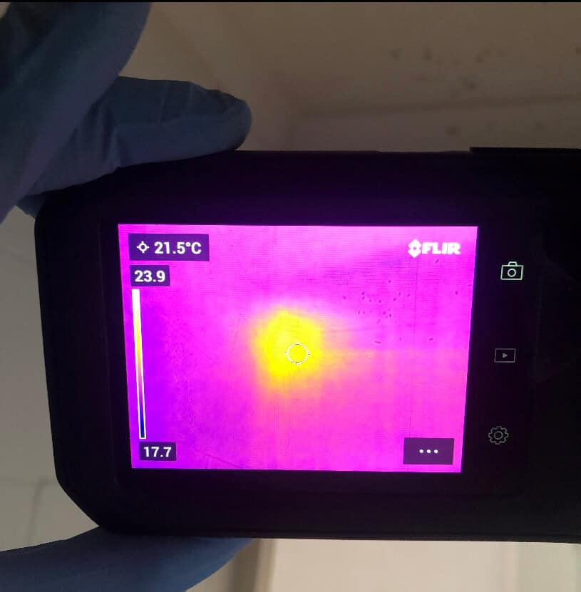 Thermal-imaging-of-bee-hive-