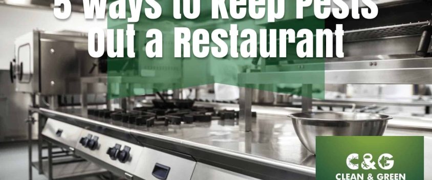 Pests-in-Restaurants-