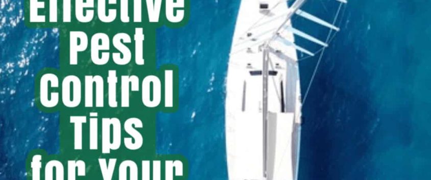 Pest Control Tips for Your Boat