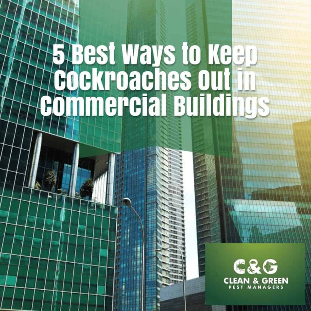 Cockroaches Out in Commercial Buildings