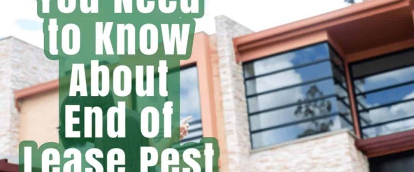 End_of_lease_pest_control_Sydney_