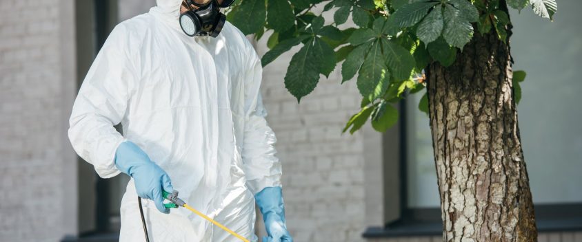 pest control