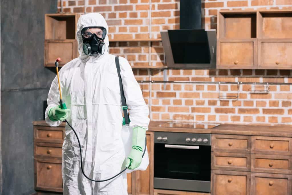 pest control