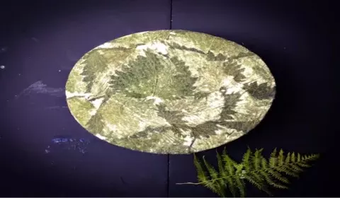 Cornish Yarg The Allotment Deli