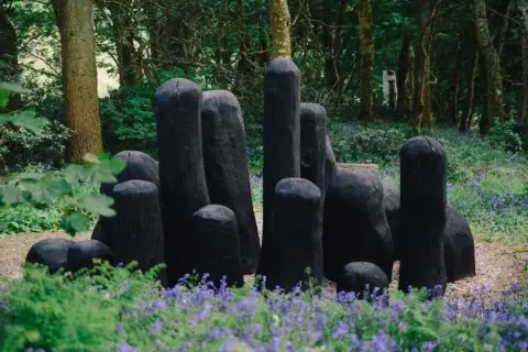 Tremenheere sculpture gardens