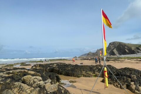 Lifeguard 3