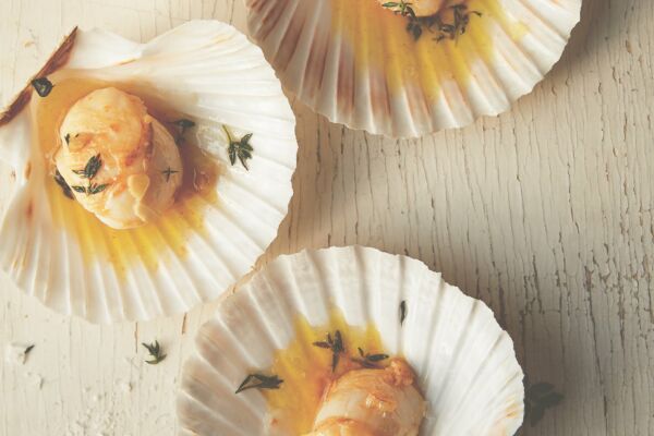 Emily Scott Scallops_031