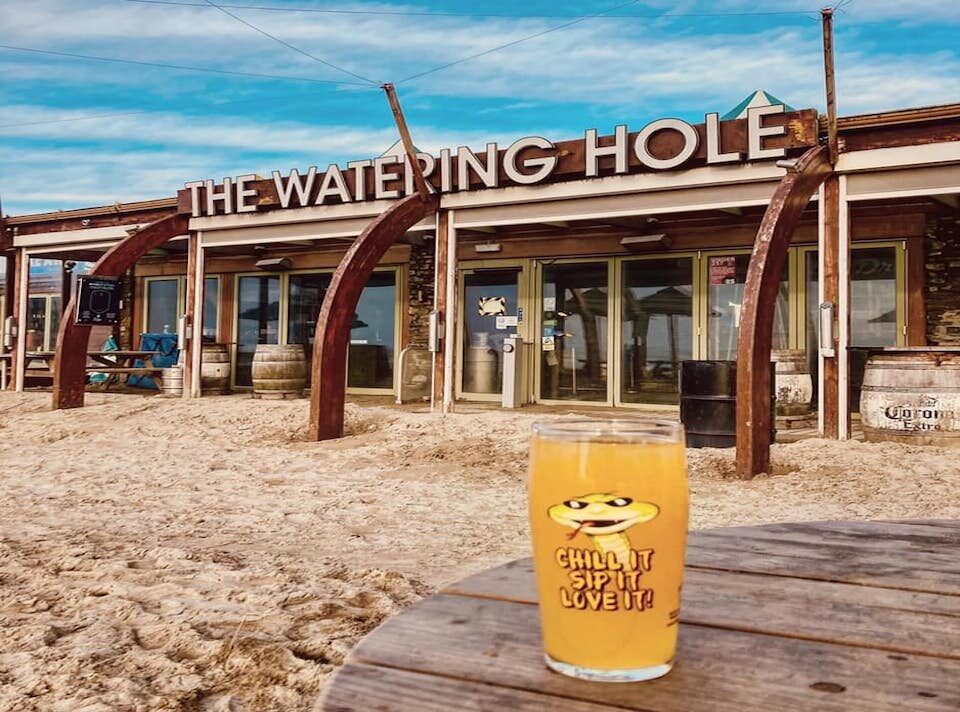 The Watering Hole