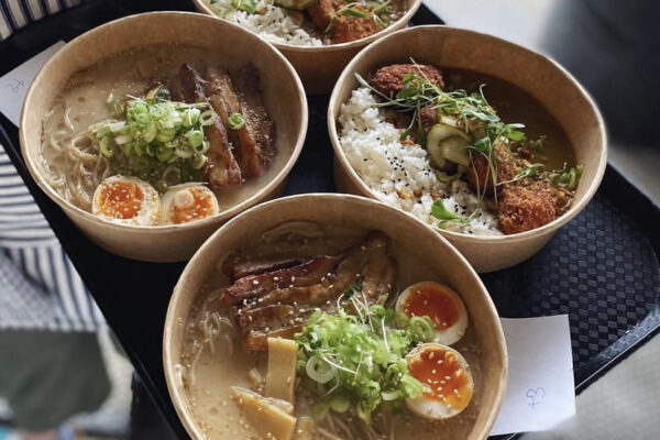 Fat Cat Cornwall