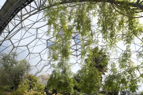 Eden Project, near St Austel. ©Hufton+Crow