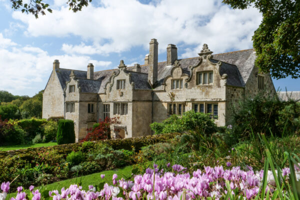 Cyclamen in front of the house at Trerice, Cornwall ©National Trust Images Hilary Daniel