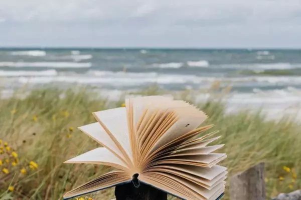 pexels-karolina-grabowska-4996698