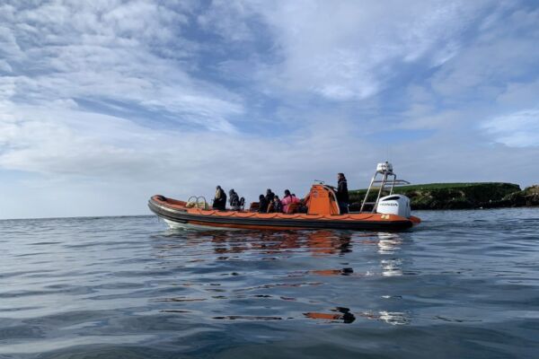 Looe Sea safaris 1