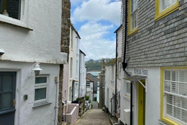 pexels-david-pickup-st ives