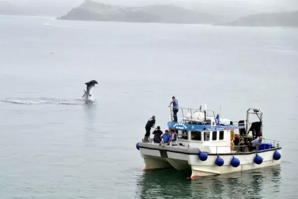 Newquay Sea Safari cruise