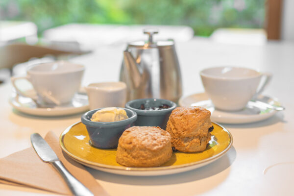 Trebah cream tea