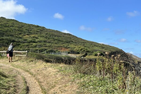 Crackington Haven Walk