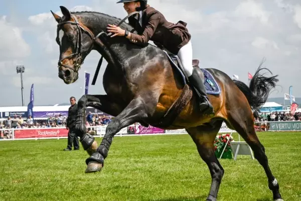 Royal Cornwall Show 3