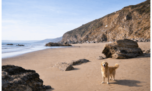 Tregonhawke Beach