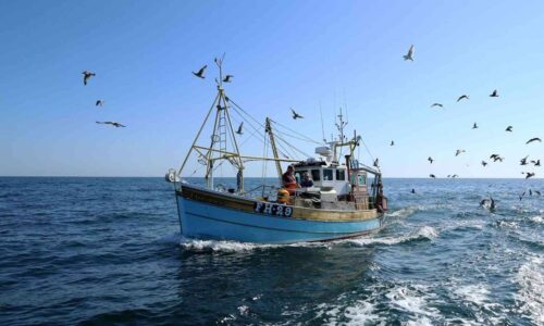 BBC’s Cornwall: This Fishing Life