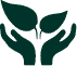 Company Formation in Saudi Arabia Company Formation in Saudi Arabia