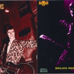 david-bowie-ziggy-stripped-bare-inner