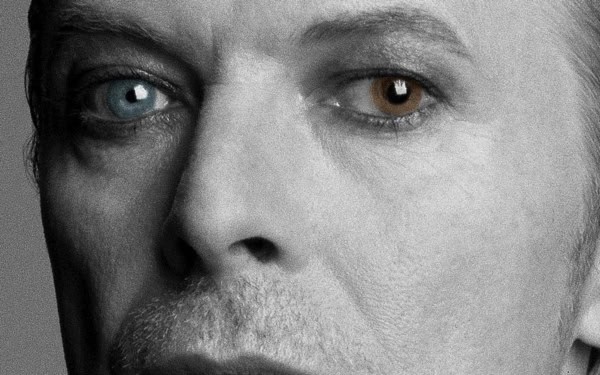 Strange fascination : The best David Bowie books