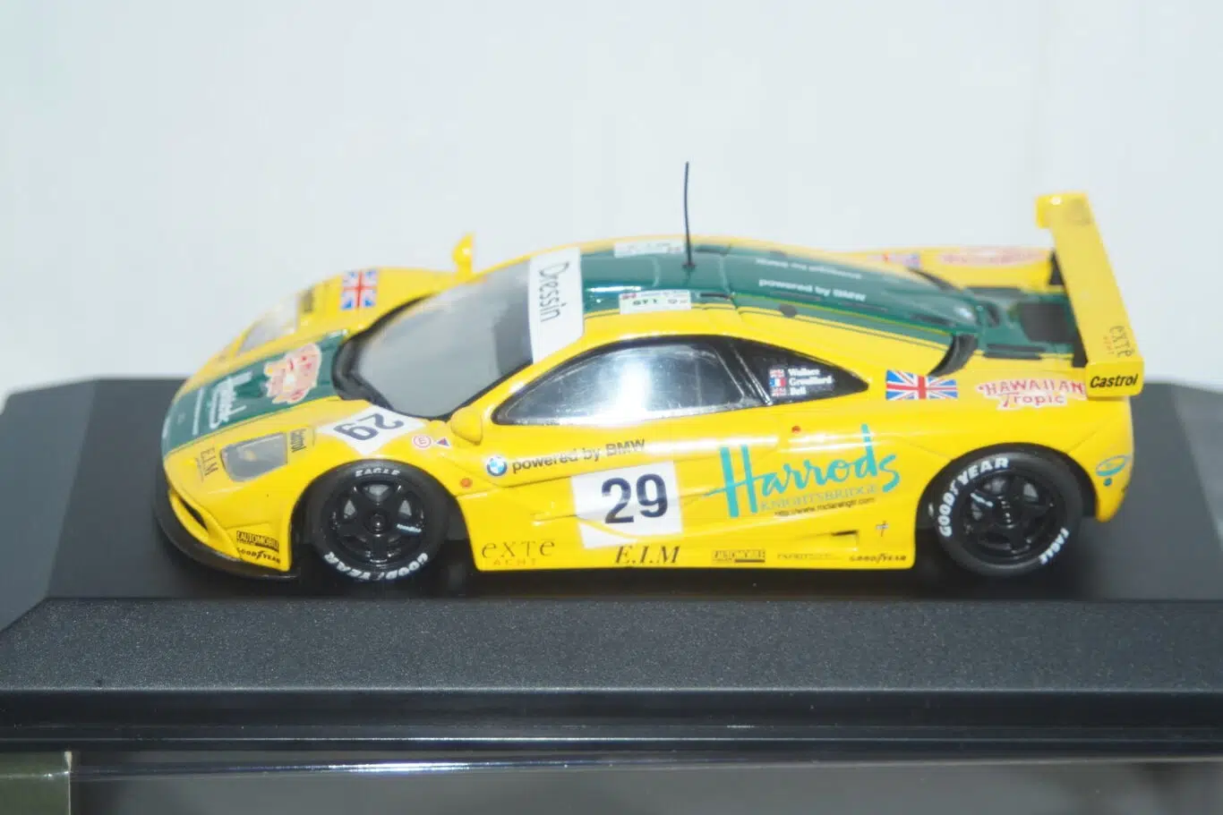 dsc02946.jpg.webp