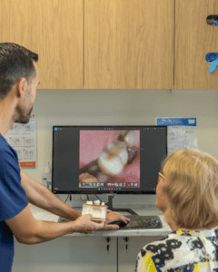 brisbane cbd dentist discussing dental crowns with patient
