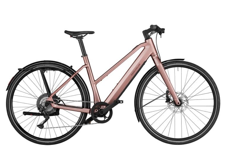 Riese & Müller UBN Seven touring