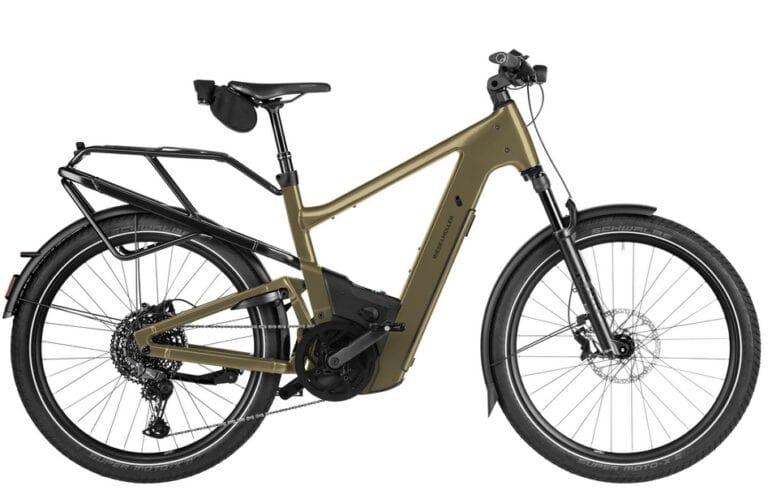 Riese & Müller Delite5 touring