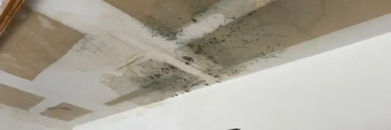 Garage ceiling with widespread water stains and mold growth from prolonged leakage highlighting urgent roof leak repair San Antonio by Dolan Roofing & Construction in San Antonio