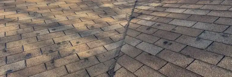 roof inspection for hail damage on asphalt shingles, conducted by Dolan Roofing & Construction in San Antonio