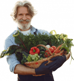 A person holding a basket full of vegetables in San Antonio, TX