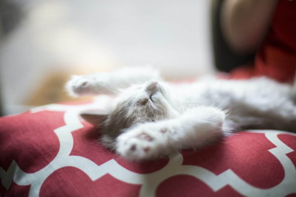 How Long Are Lucid Dreams