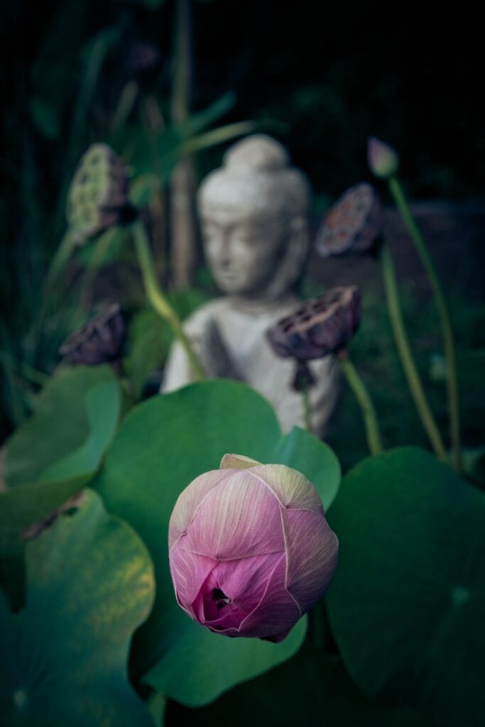 Unleashing the Power of Your Soul Urge