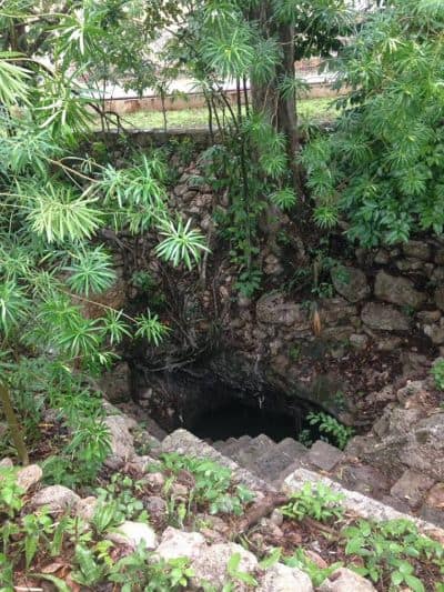 Cenote Cholul Mérida Yucatán