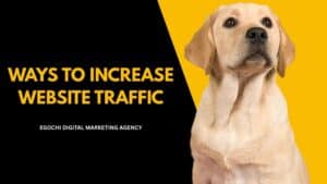 Ways to Increase Website Traffic