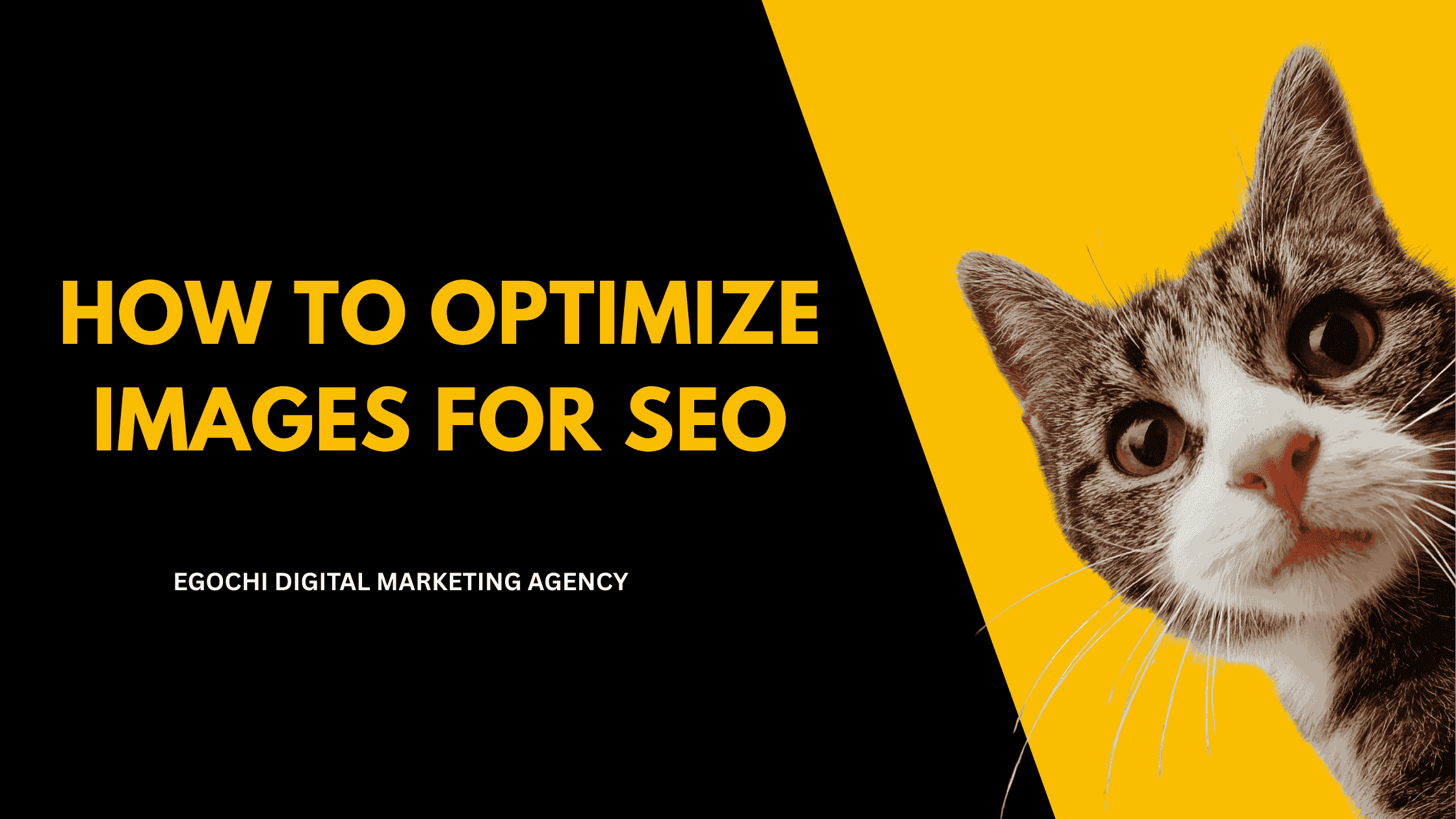 how ot optimize Images for SEO