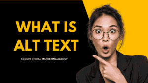 Alt Text