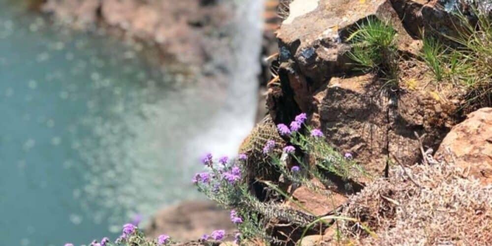 Río con cascada y vegetación en entorno natural, paisaje sereno y relajante.