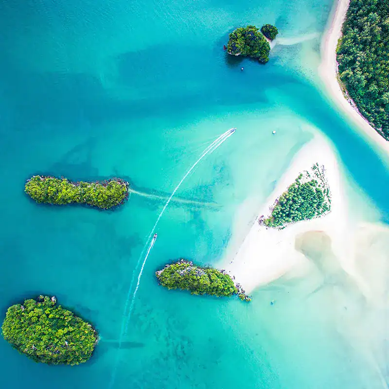Caribe