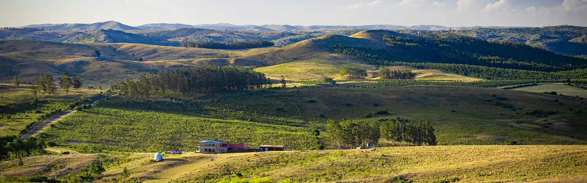 campo uruguay