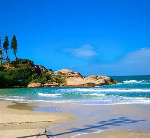Disfruta de una hermosa playa con arena dorada, aguas cristalinas y vegetación tropical en un entorn.
