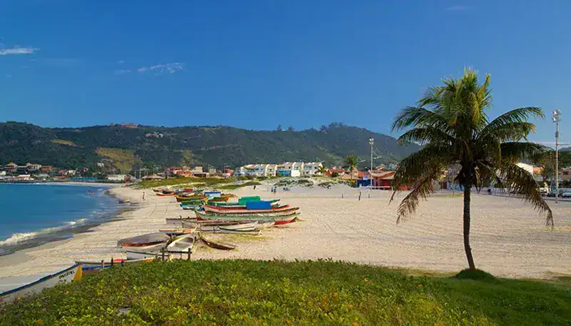 Barcos en la playa con palmera y vista a las colinas en Uruguay.
