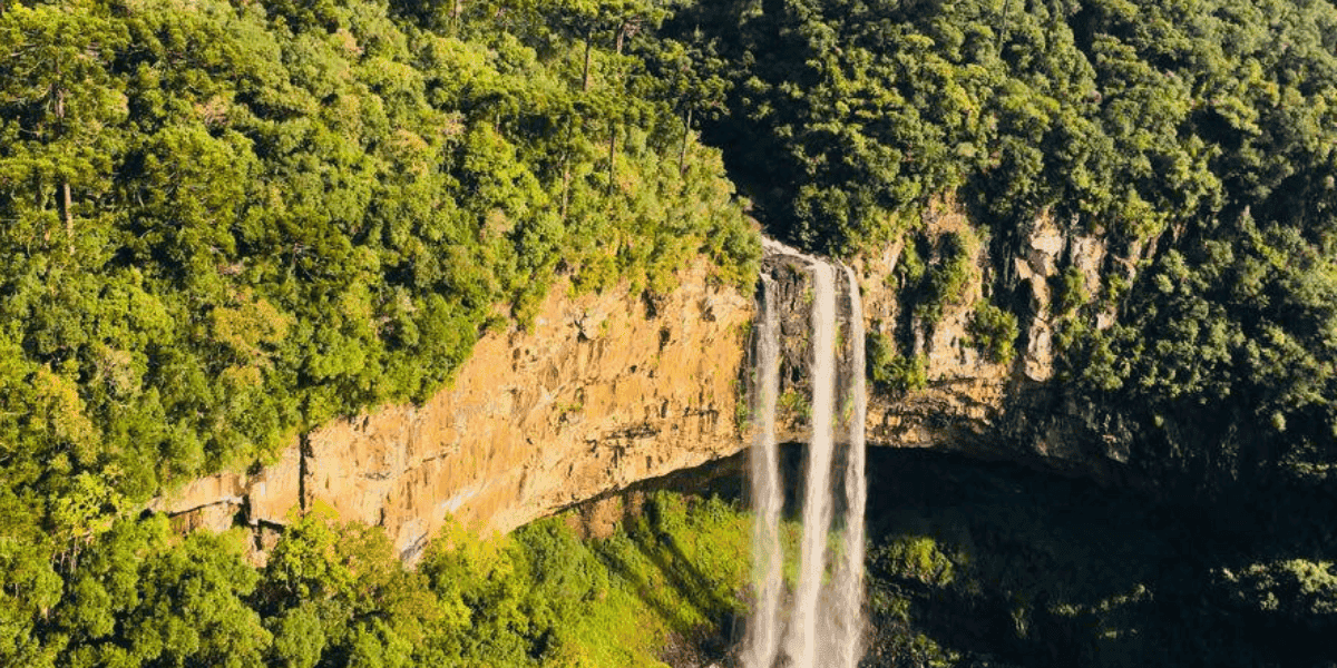Cascada rodeada de vegetación en un entorno natural.